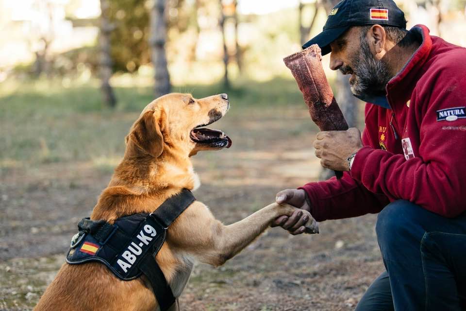 Pedro Frutos con perro de rescate