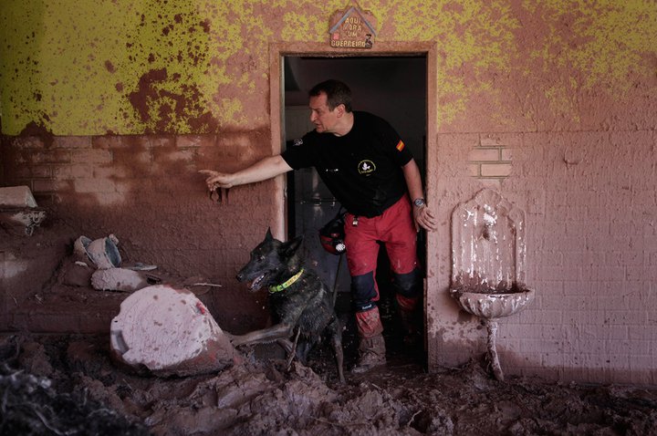 Operación Brasil 2011