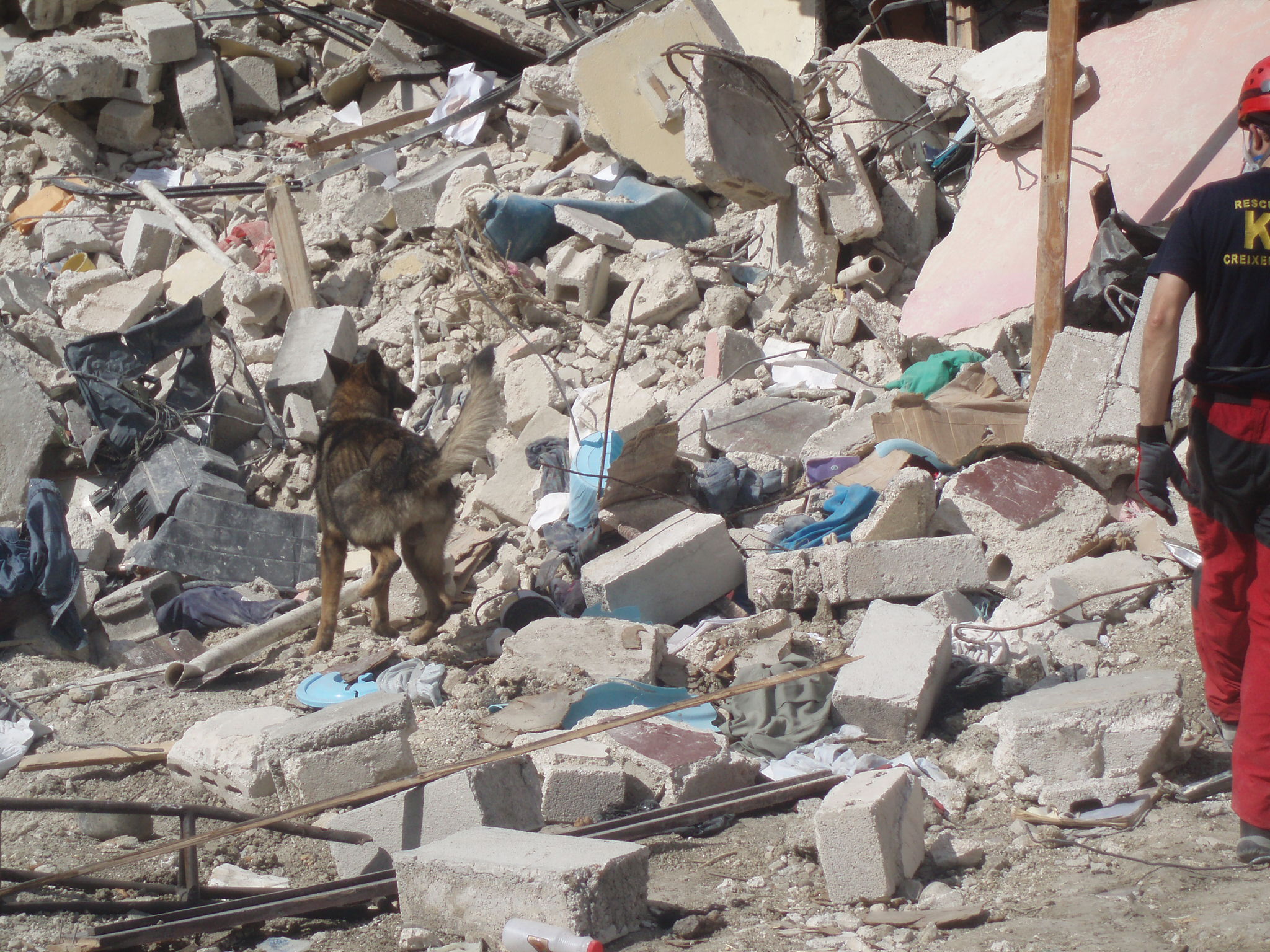 Operación Haití 2010