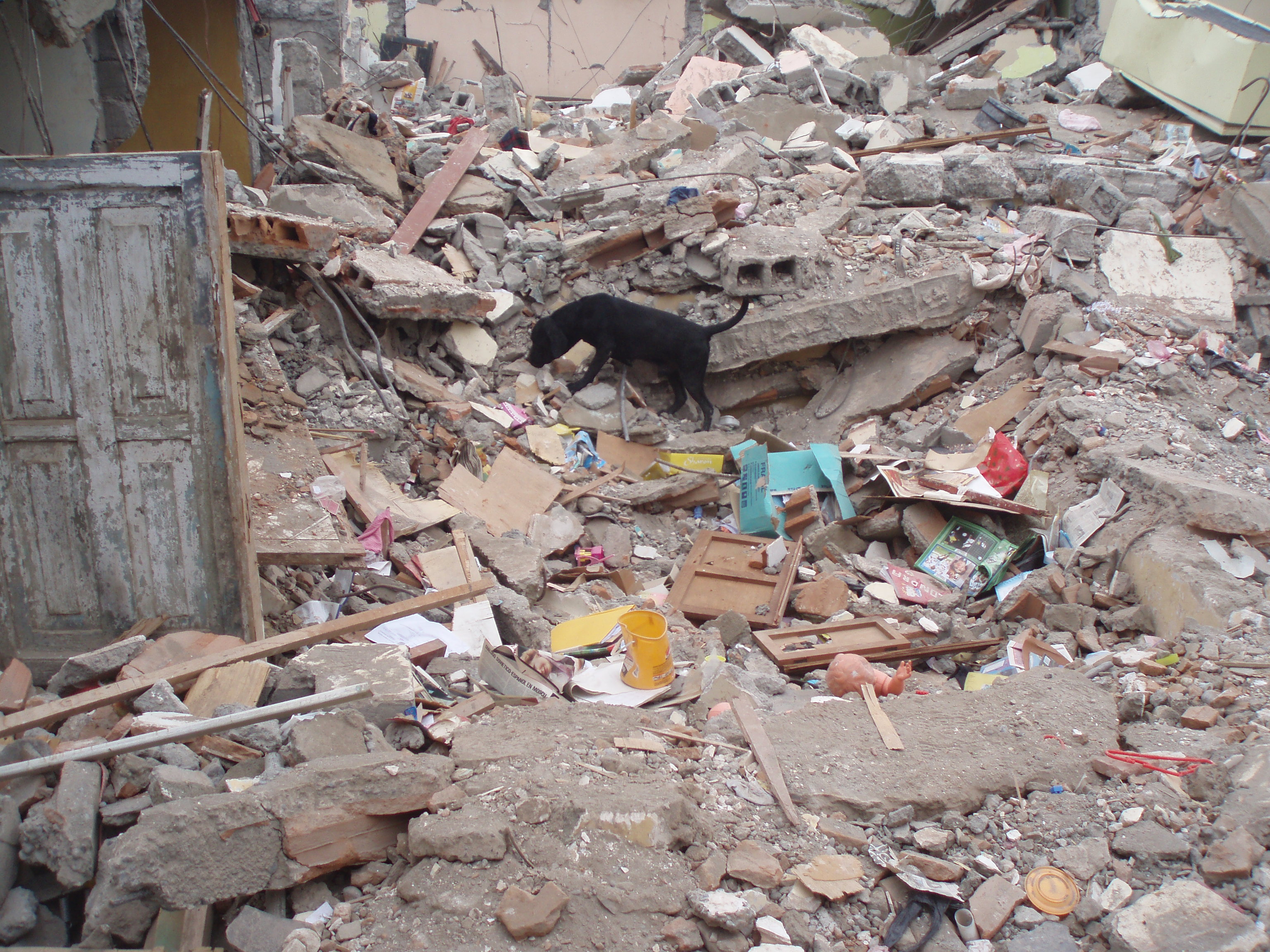 Rescate en Perú 2007 - Foto 3